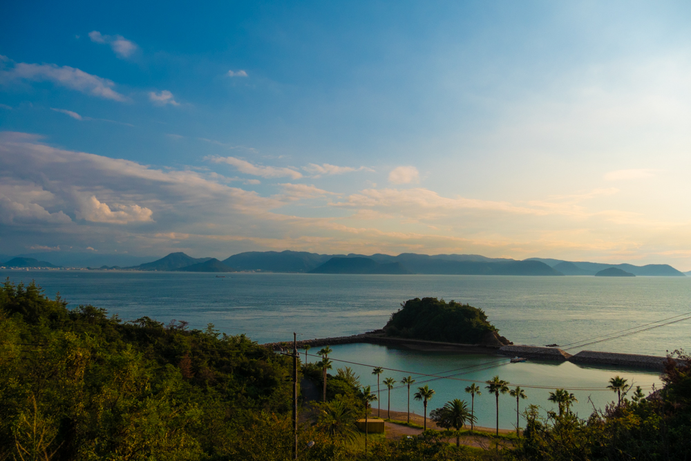 山から見下ろす海